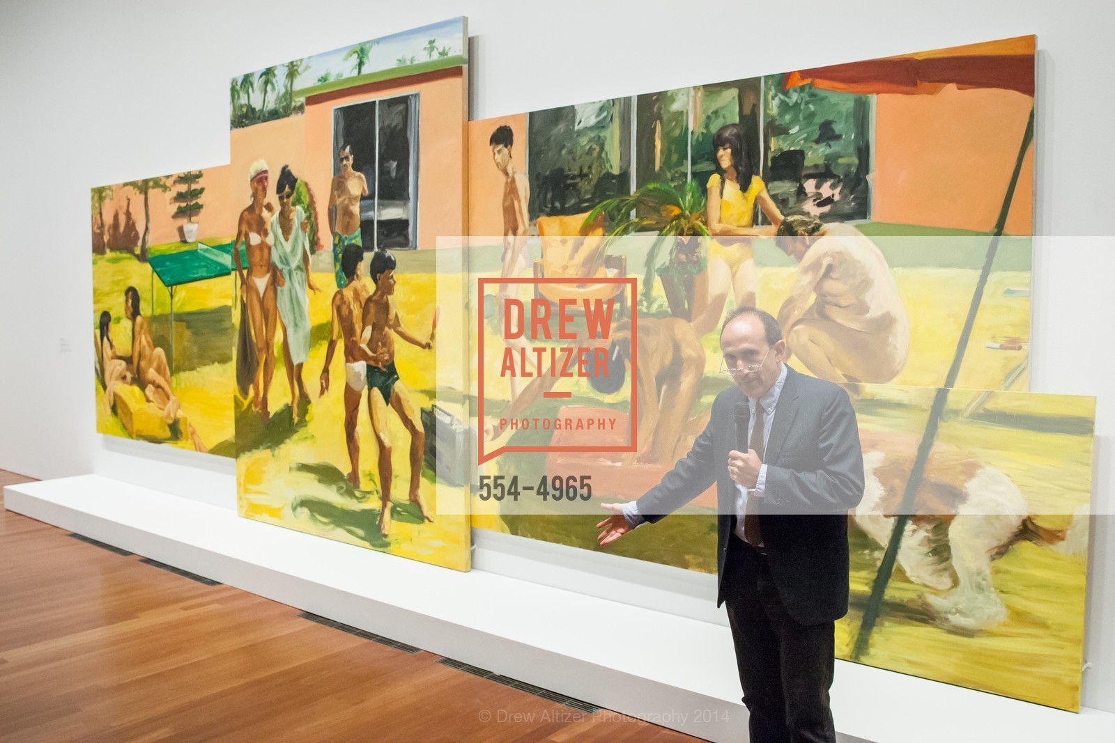 Harry Cooper, Press Preview: Modernism from the National Gallery of Art: The Robert & Jane Meyerhoff Collection, US, June 5th, 2014, Photo #554-4965 Harry Cooper, Photo #554-4965