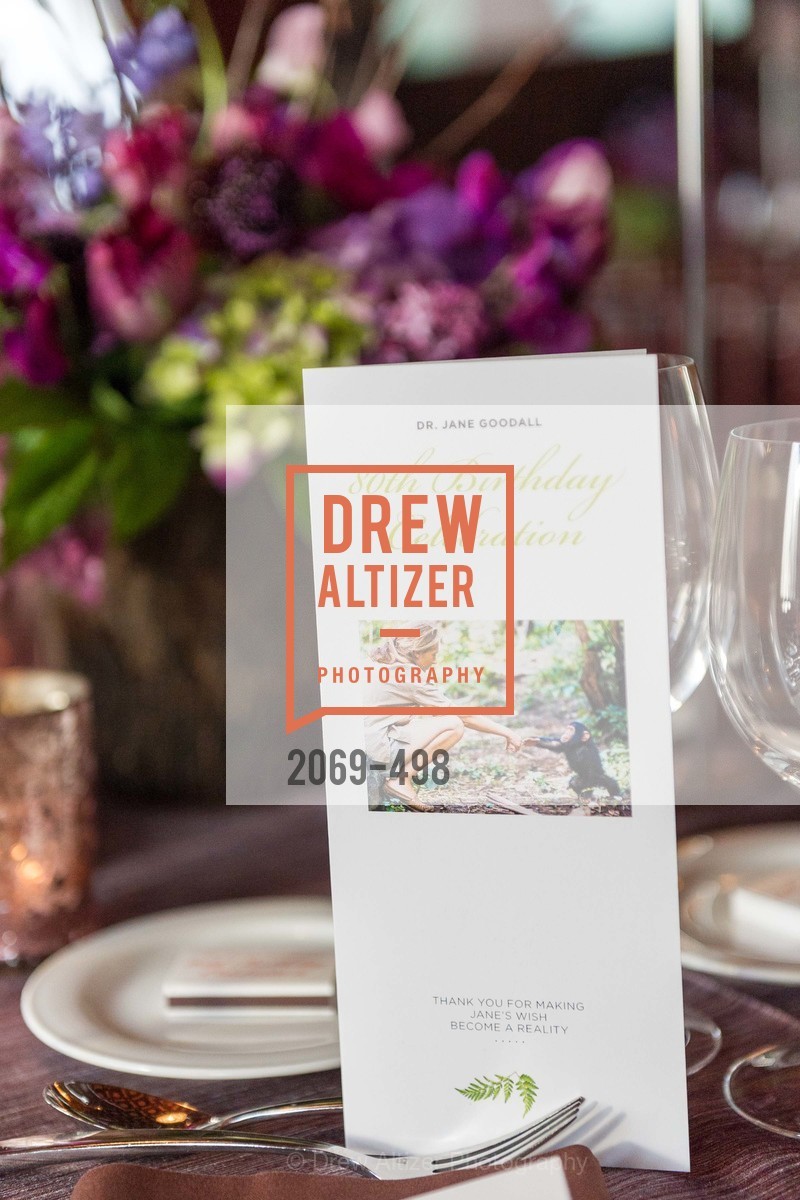 Atmosphere, Dr. Jane Goodall 80th Birthday Celebration, US. US, April 3rd, 2014,Drew Altizer, Drew Altizer Photography, full-service agency, private events, San Francisco photographer, photographer california