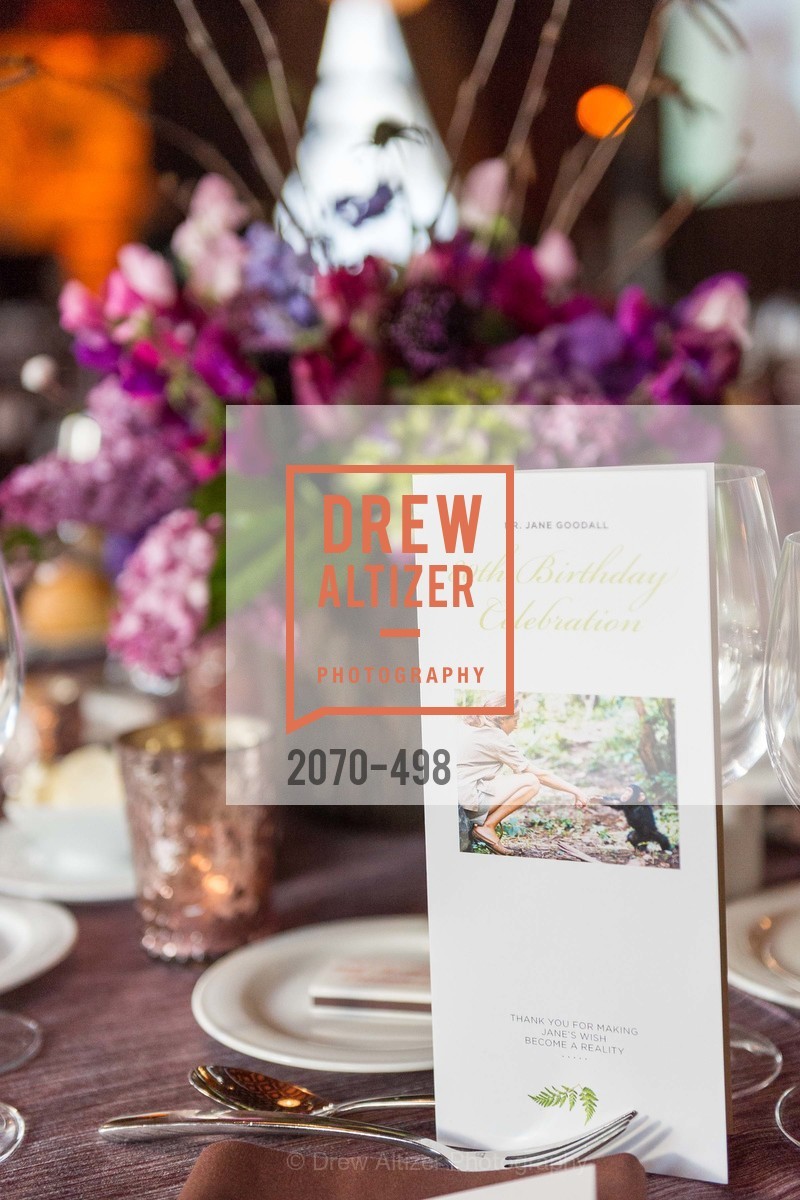 Atmosphere, Dr. Jane Goodall 80th Birthday Celebration, US. US, April 3rd, 2014,Drew Altizer, Drew Altizer Photography, full-service agency, private events, San Francisco photographer, photographer california
