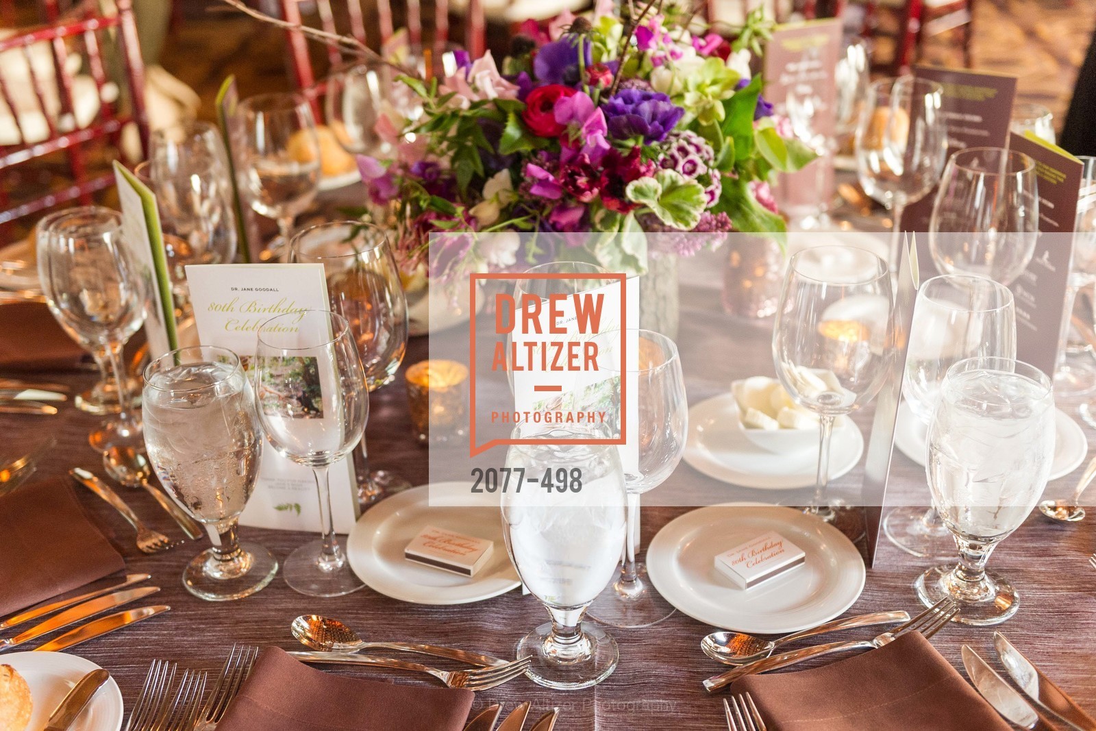 Atmosphere, Dr. Jane Goodall 80th Birthday Celebration, US. US, April 3rd, 2014,Drew Altizer, Drew Altizer Photography, full-service agency, private events, San Francisco photographer, photographer california