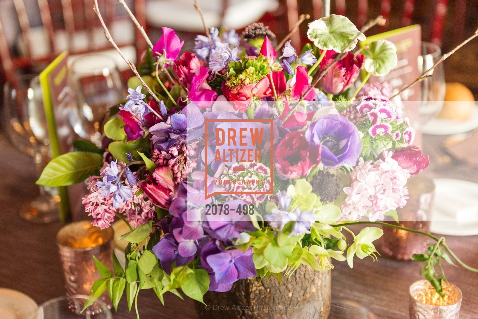 Atmosphere, Dr. Jane Goodall 80th Birthday Celebration, US. US, April 3rd, 2014,Drew Altizer, Drew Altizer Photography, full-service agency, private events, San Francisco photographer, photographer california