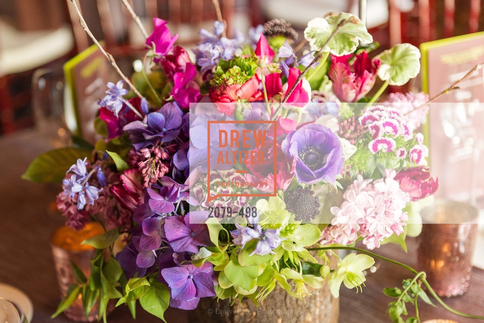 Atmosphere, Dr. Jane Goodall 80th Birthday Celebration, US. US, April 3rd, 2014,Drew Altizer, Drew Altizer Photography, full-service event agency, private events, San Francisco photographer, photographer California