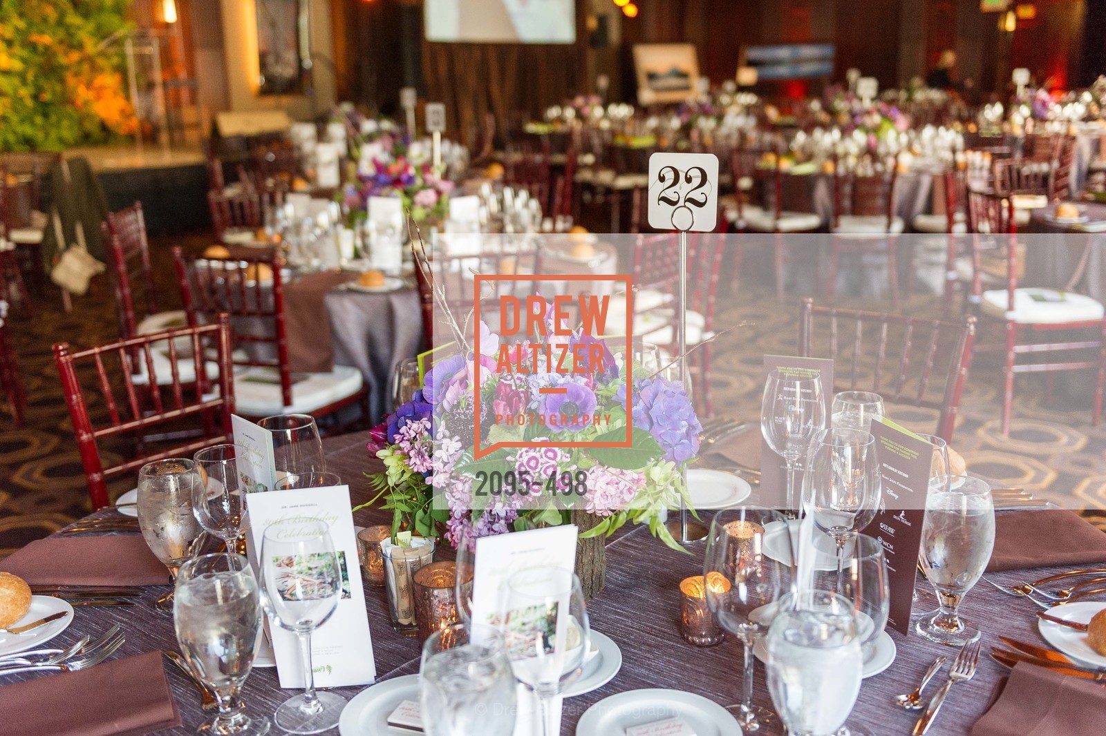Atmosphere, Dr. Jane Goodall 80th Birthday Celebration, US. US, April 3rd, 2014,Drew Altizer, Drew Altizer Photography, full-service agency, private events, San Francisco photographer, photographer california