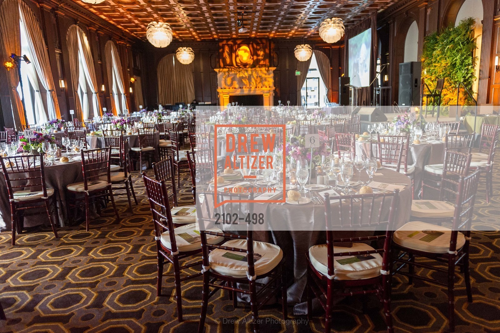 Atmosphere, Dr. Jane Goodall 80th Birthday Celebration, US. US, April 3rd, 2014,Drew Altizer, Drew Altizer Photography, full-service agency, private events, San Francisco photographer, photographer california