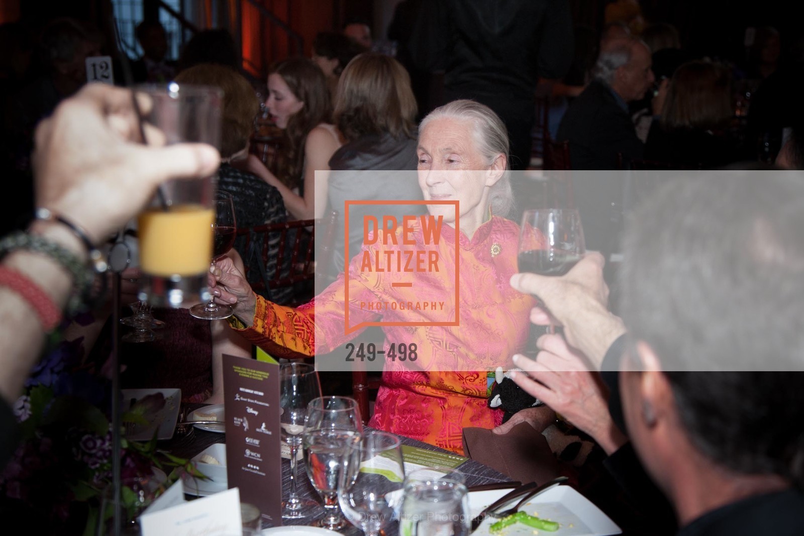 Jane Goodall, Dr. Jane Goodall 80th Birthday Celebration, US. US, April 3rd, 2014,Drew Altizer, Drew Altizer Photography, full-service event agency, private events, San Francisco photographer, photographer California