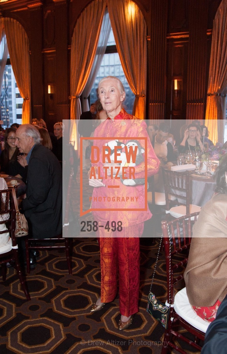 Jane Goodall, Dr. Jane Goodall 80th Birthday Celebration, US. US, April 3rd, 2014,Drew Altizer, Drew Altizer Photography, full-service agency, private events, San Francisco photographer, photographer california