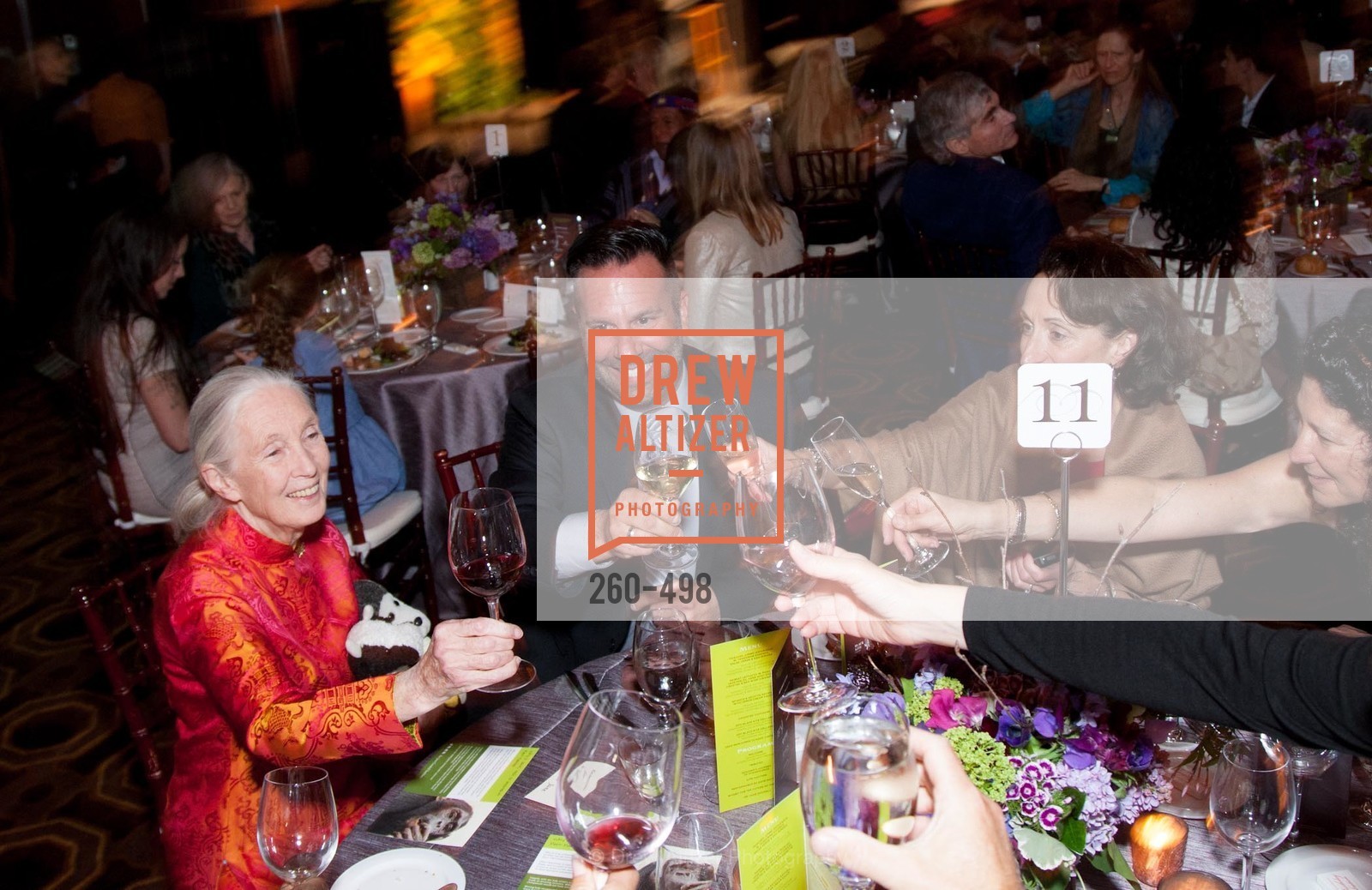Jane Goodall, Dr. Jane Goodall 80th Birthday Celebration, US. US, April 3rd, 2014,Drew Altizer, Drew Altizer Photography, full-service agency, private events, San Francisco photographer, photographer california
