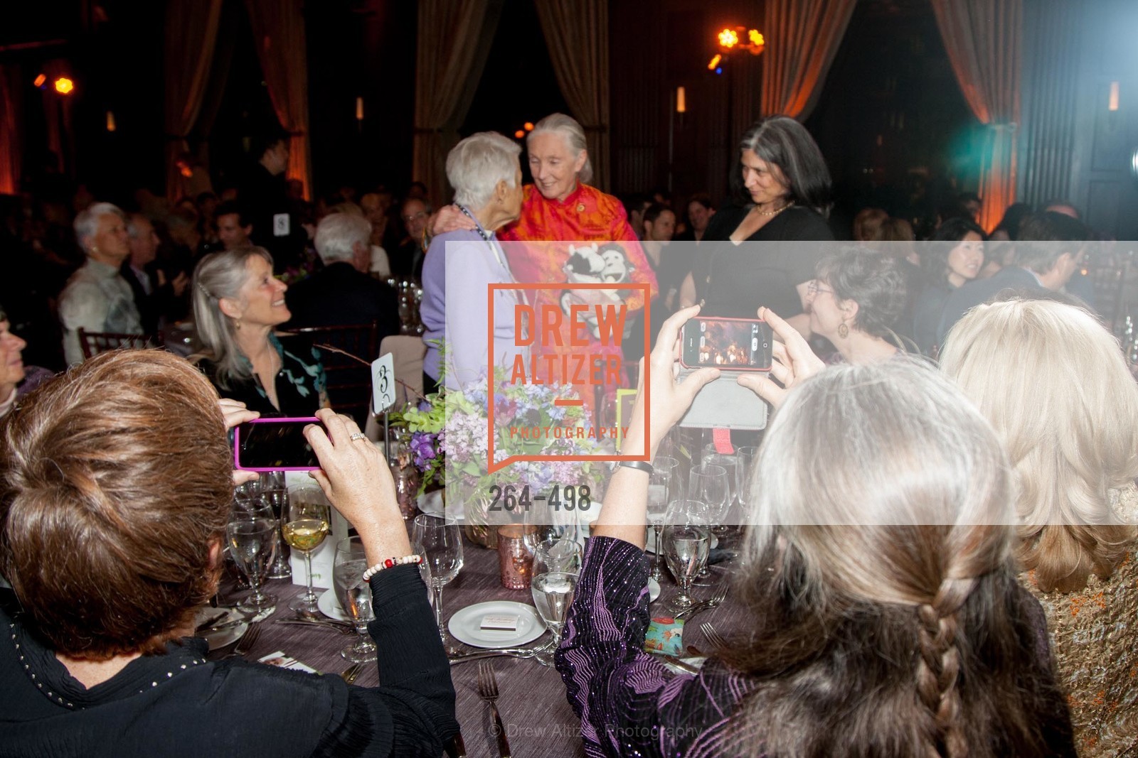 Jane Goodall, Dr. Jane Goodall 80th Birthday Celebration, US. US, . US, Photo #264-498 Jane Goodall, Photo #264-498