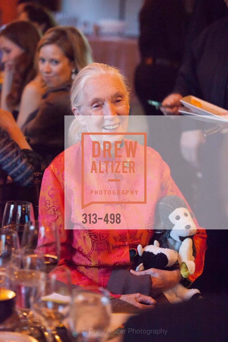 Jane Goodall, Dr. Jane Goodall 80th Birthday Celebration, US. US, . US, Photo #313-498 Jane Goodall, Photo #313-498
