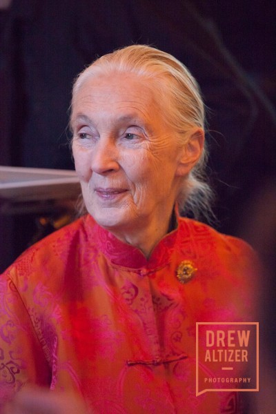 Dr. Jane Goodall 80th Birthday Celebration