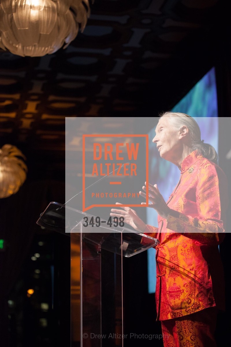 Jane Goodall, Dr. Jane Goodall 80th Birthday Celebration, US. US, April 3rd, 2014,Drew Altizer, Drew Altizer Photography, full-service agency, private events, San Francisco photographer, photographer california