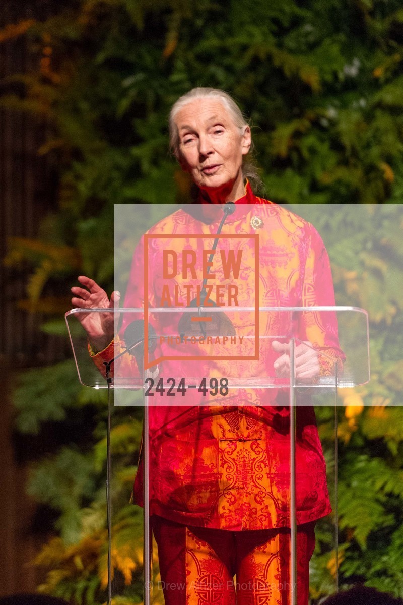 Jane Goodall, Dr. Jane Goodall 80th Birthday Celebration, US. US, April 3rd, 2014,Drew Altizer, Drew Altizer Photography, full-service agency, private events, San Francisco photographer, photographer california