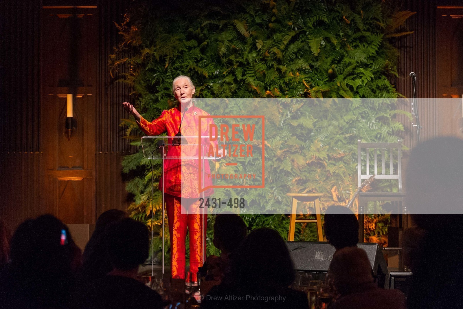 Jane Goodall, Dr. Jane Goodall 80th Birthday Celebration, US. US, April 3rd, 2014,Drew Altizer, Drew Altizer Photography, full-service agency, private events, San Francisco photographer, photographer california