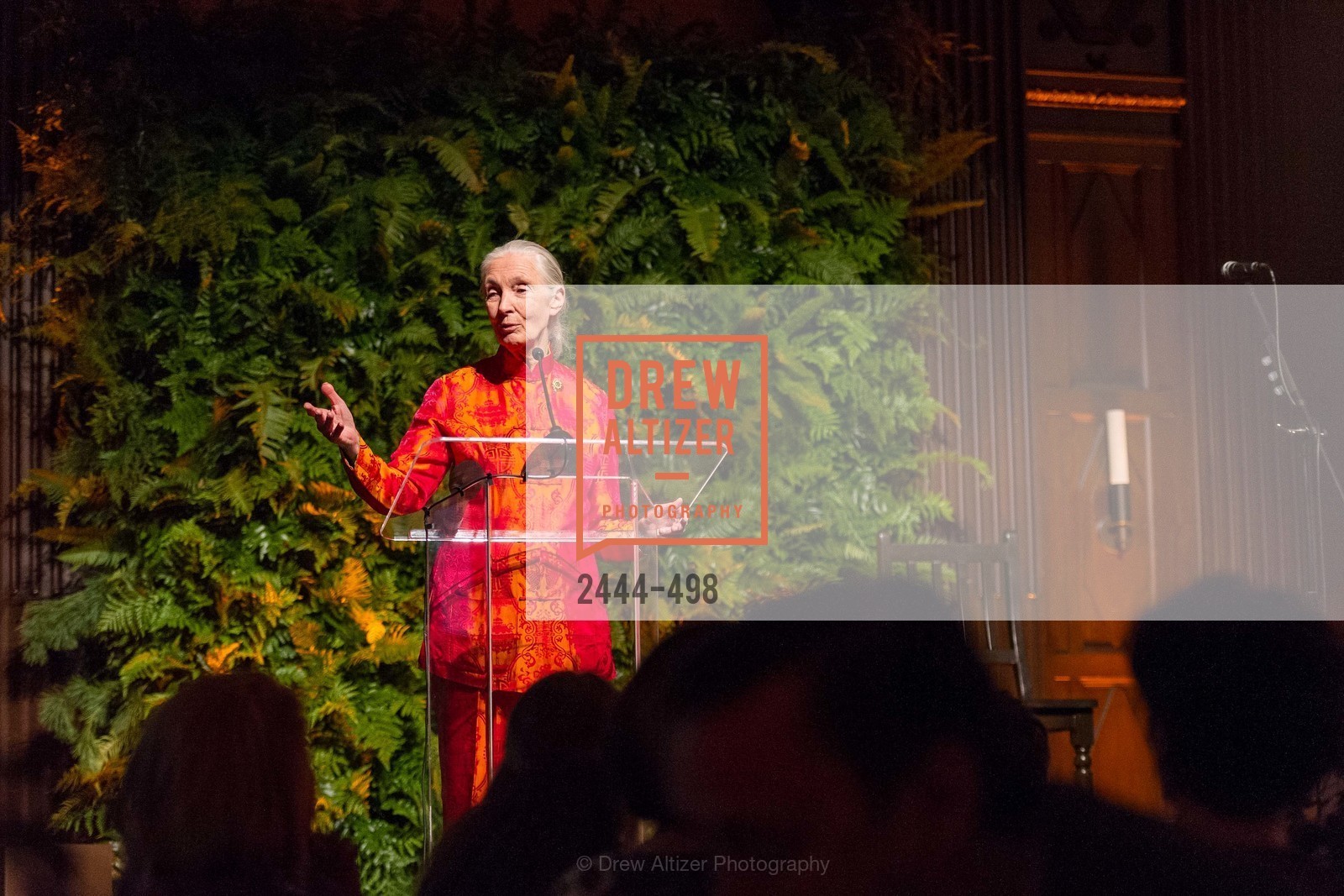 Jane Goodall, Dr. Jane Goodall 80th Birthday Celebration, US. US, April 3rd, 2014,Drew Altizer, Drew Altizer Photography, full-service agency, private events, San Francisco photographer, photographer california