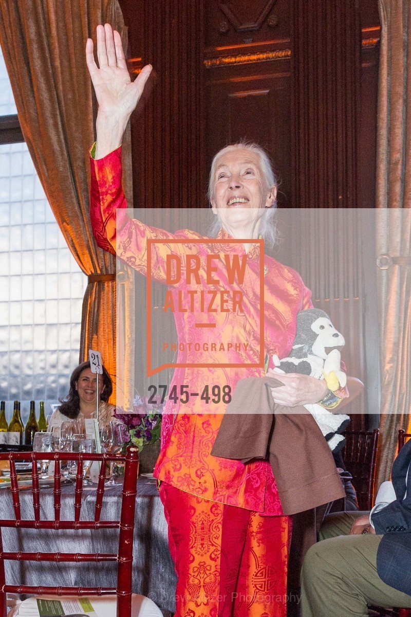 Jane Goodall, Dr. Jane Goodall 80th Birthday Celebration, US. US, April 3rd, 2014,Drew Altizer, Drew Altizer Photography, full-service agency, private events, San Francisco photographer, photographer california