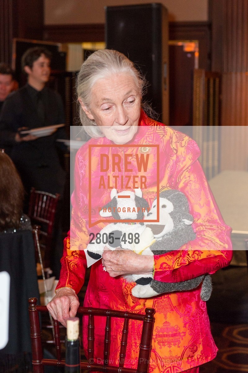 Jane Goodall, Dr. Jane Goodall 80th Birthday Celebration, US. US, April 3rd, 2014,Drew Altizer, Drew Altizer Photography, full-service agency, private events, San Francisco photographer, photographer california