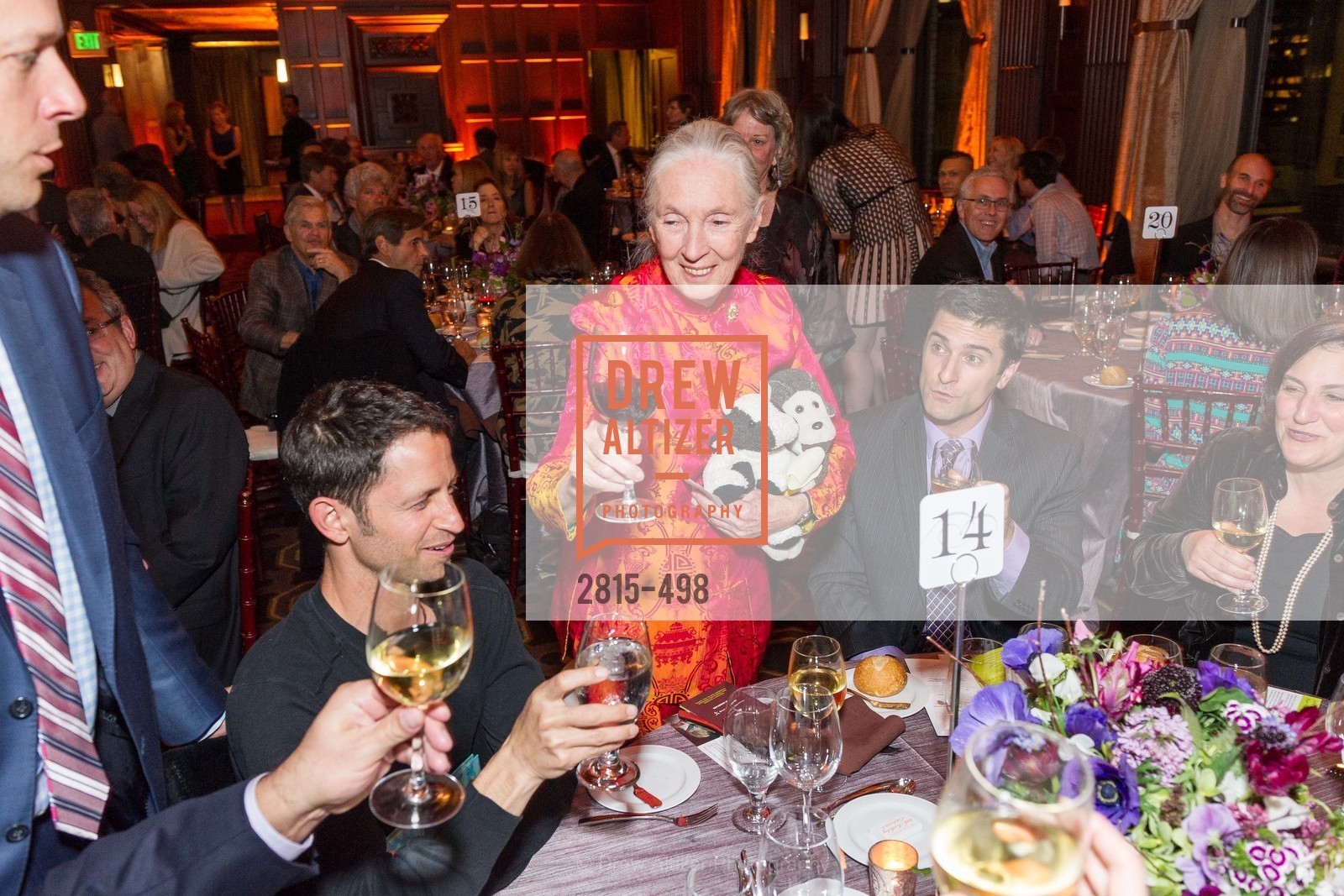 Jane Goodall, Dr. Jane Goodall 80th Birthday Celebration, US. US, April 3rd, 2014,Drew Altizer, Drew Altizer Photography, full-service agency, private events, San Francisco photographer, photographer california