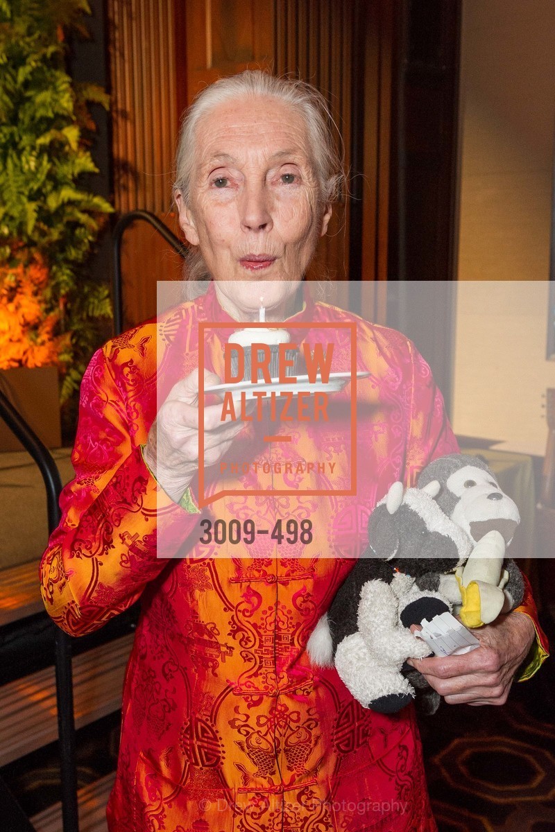 Jane Goodall, Dr. Jane Goodall 80th Birthday Celebration, US. US, April 3rd, 2014,Drew Altizer, Drew Altizer Photography, full-service agency, private events, San Francisco photographer, photographer california