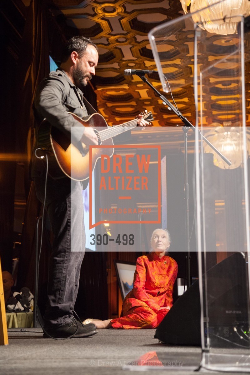 Performance By Dave Matthews, Dr. Jane Goodall 80th Birthday Celebration, US. US, April 3rd, 2014,Drew Altizer, Drew Altizer Photography, full-service agency, private events, San Francisco photographer, photographer california