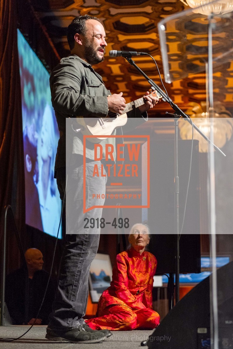 Performance By Dave Matthews, Photo #2918-498