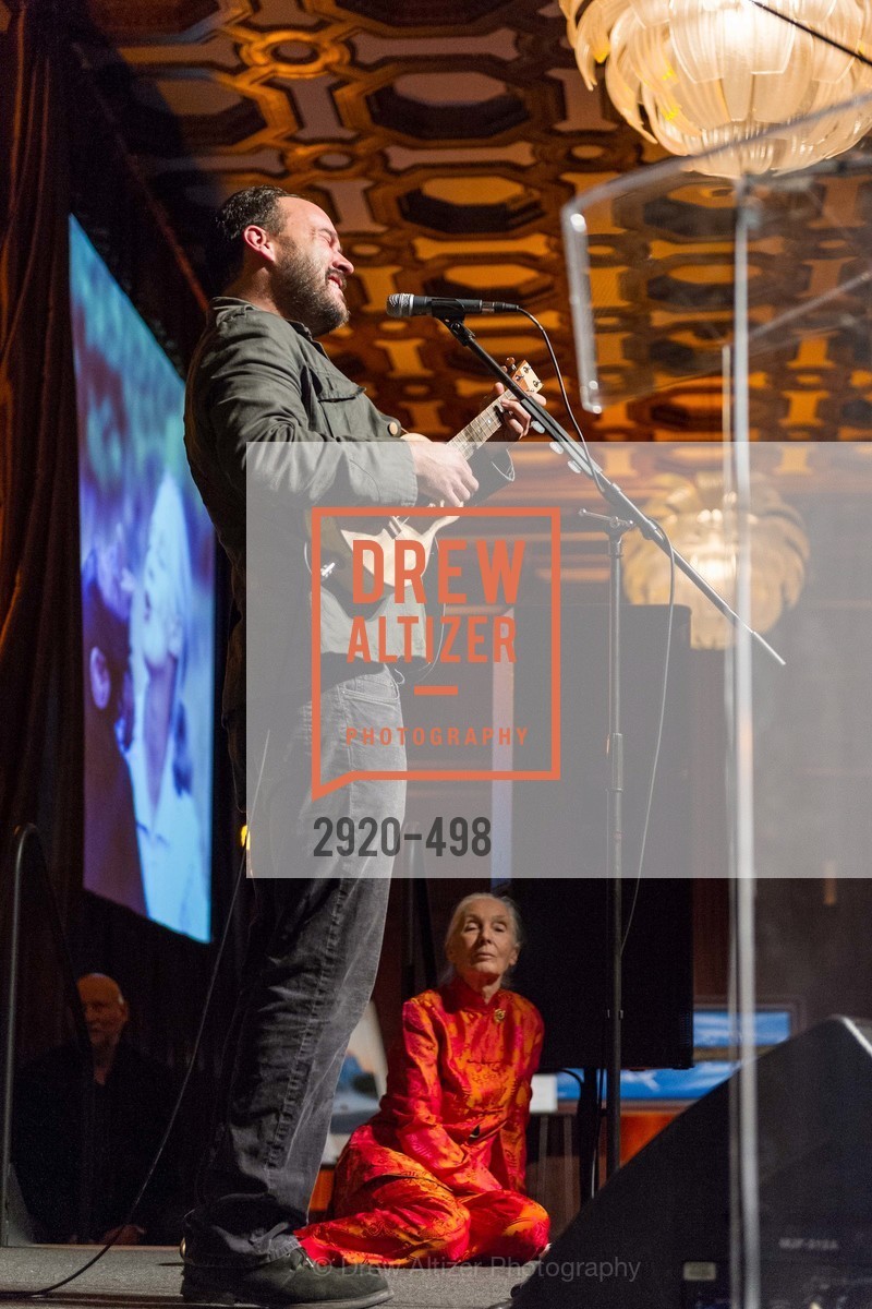 Performance By Dave Matthews, Dr. Jane Goodall 80th Birthday Celebration, US. US, April 3rd, 2014,Drew Altizer, Drew Altizer Photography, full-service agency, private events, San Francisco photographer, photographer california