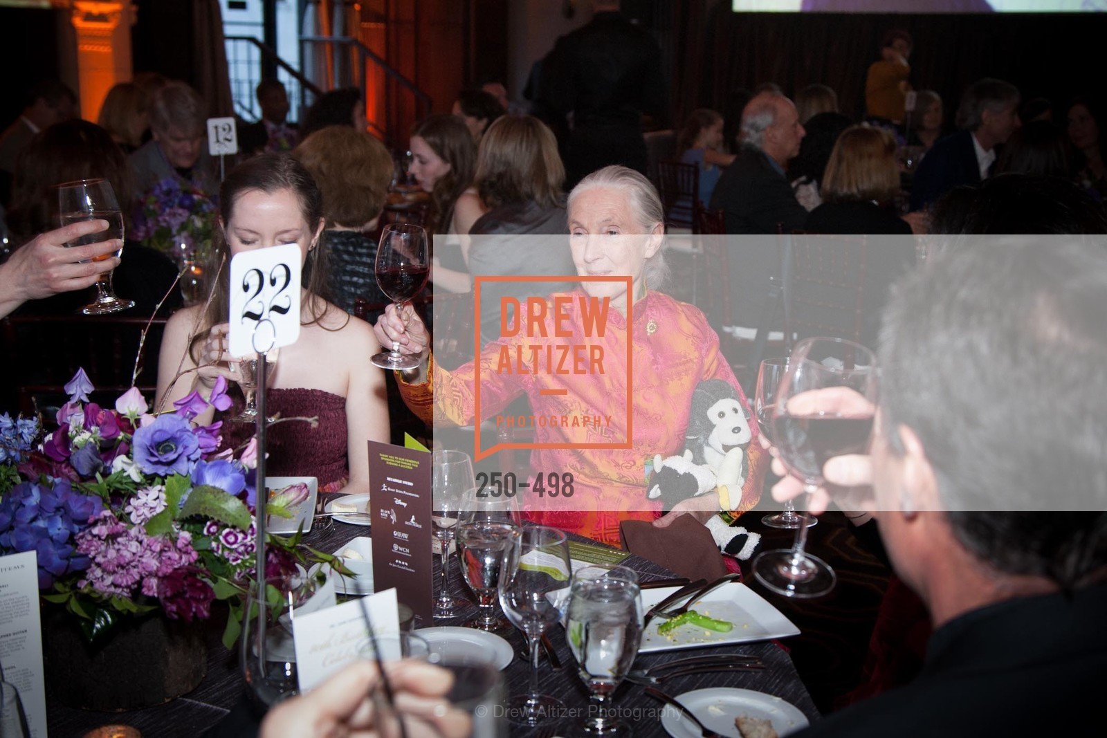 Jane Goodall, Dr. Jane Goodall 80th Birthday Celebration, US. US, April 3rd, 2014,Drew Altizer, Drew Altizer Photography, full-service agency, private events, San Francisco photographer, photographer california