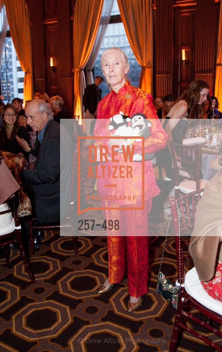 Jane Goodall, Dr. Jane Goodall 80th Birthday Celebration, US. US, April 3rd, 2014,Drew Altizer, Drew Altizer Photography, full-service agency, private events, San Francisco photographer, photographer california