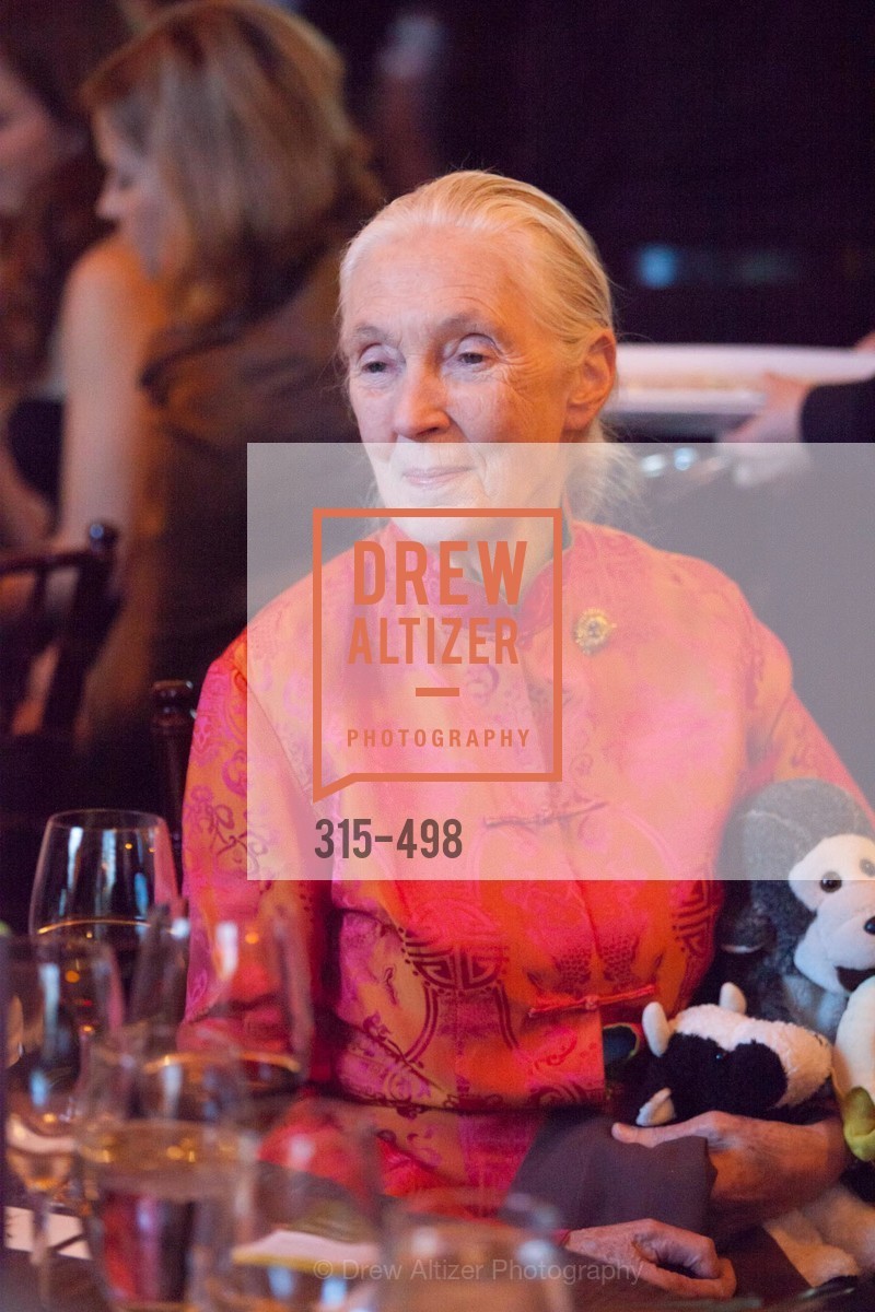 Jane Goodall, Dr. Jane Goodall 80th Birthday Celebration, US. US, April 3rd, 2014,Drew Altizer, Drew Altizer Photography, full-service agency, private events, San Francisco photographer, photographer california