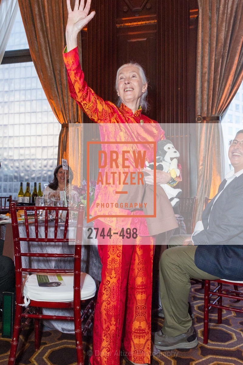 Jane Goodall, Dr. Jane Goodall 80th Birthday Celebration, US. US, April 3rd, 2014,Drew Altizer, Drew Altizer Photography, full-service agency, private events, San Francisco photographer, photographer california