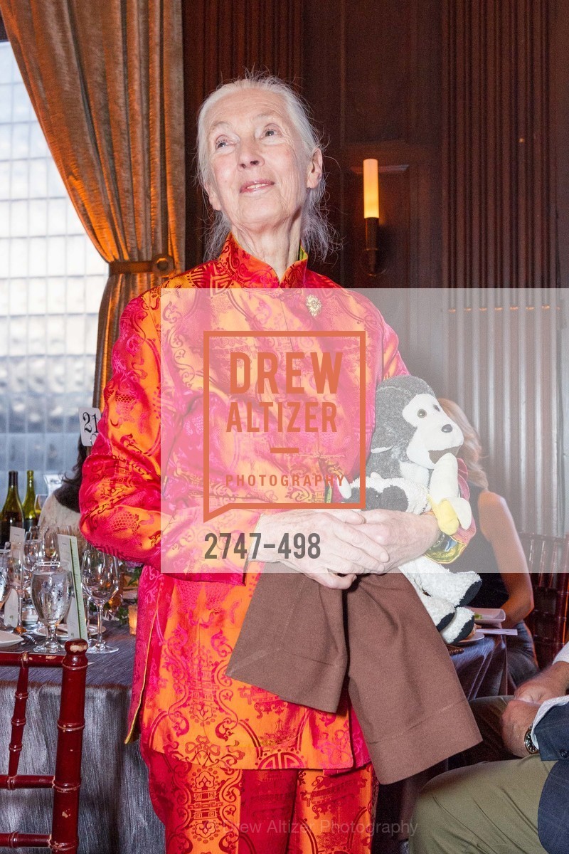 Jane Goodall, Dr. Jane Goodall 80th Birthday Celebration, US. US, April 3rd, 2014,Drew Altizer, Drew Altizer Photography, full-service agency, private events, San Francisco photographer, photographer california