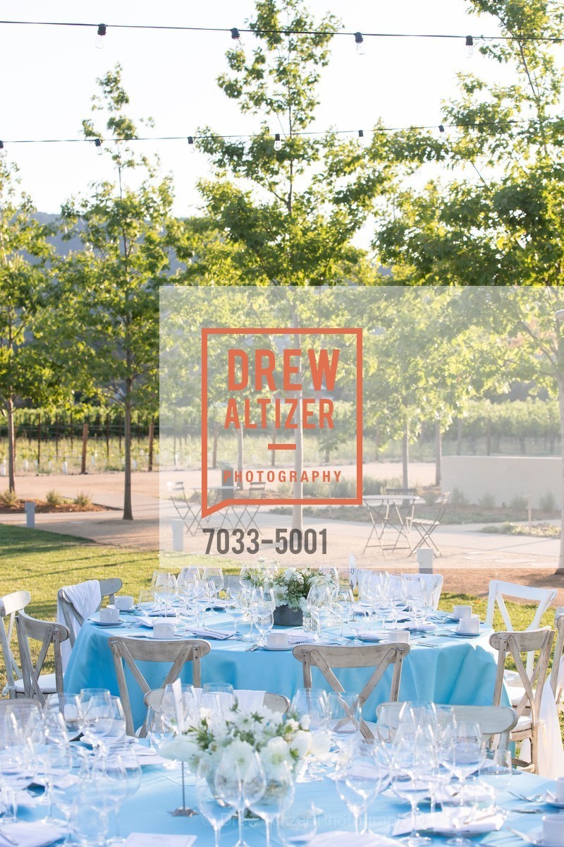 Atmosphere, FESTIVAL DEL SOLE Dinner at HALL ST. HELENA, US, July 18th, 2014, Photo #7033-5001 Atmosphere, Photo #7033-5001