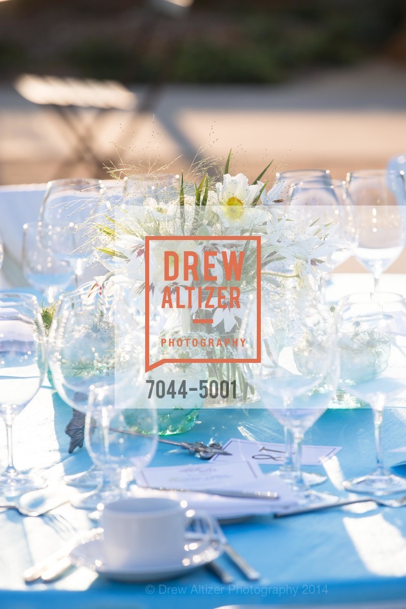 Atmosphere, FESTIVAL DEL SOLE Dinner at HALL ST. HELENA, US, July 18th, 2014, Photo #7044-5001 Atmosphere, Photo #7044-5001