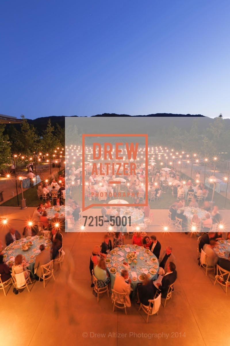 Atmosphere, FESTIVAL DEL SOLE Dinner at HALL ST. HELENA, US, July 18th, 2014, Photo #7215-5001 Atmosphere, Photo #7215-5001