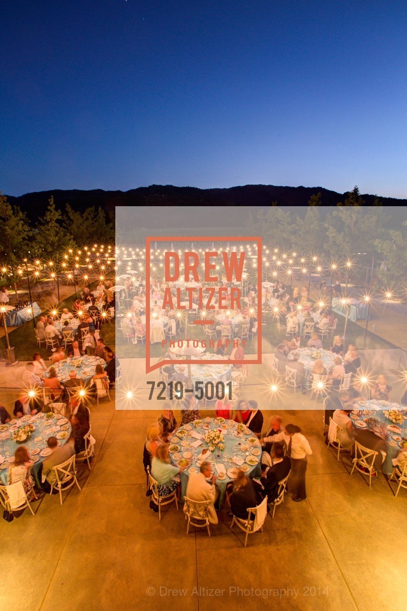 Atmosphere, FESTIVAL DEL SOLE Dinner at HALL ST. HELENA, US, July 18th, 2014, Photo #7219-5001 Atmosphere, Photo #7219-5001
