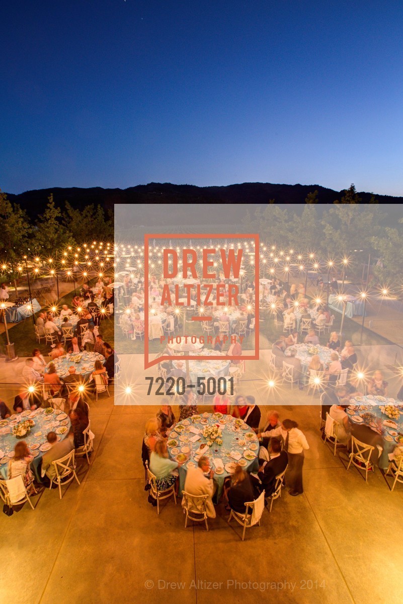 Atmosphere, FESTIVAL DEL SOLE Dinner at HALL ST. HELENA, US, July 18th, 2014, Photo #7220-5001 Atmosphere, Photo #7220-5001