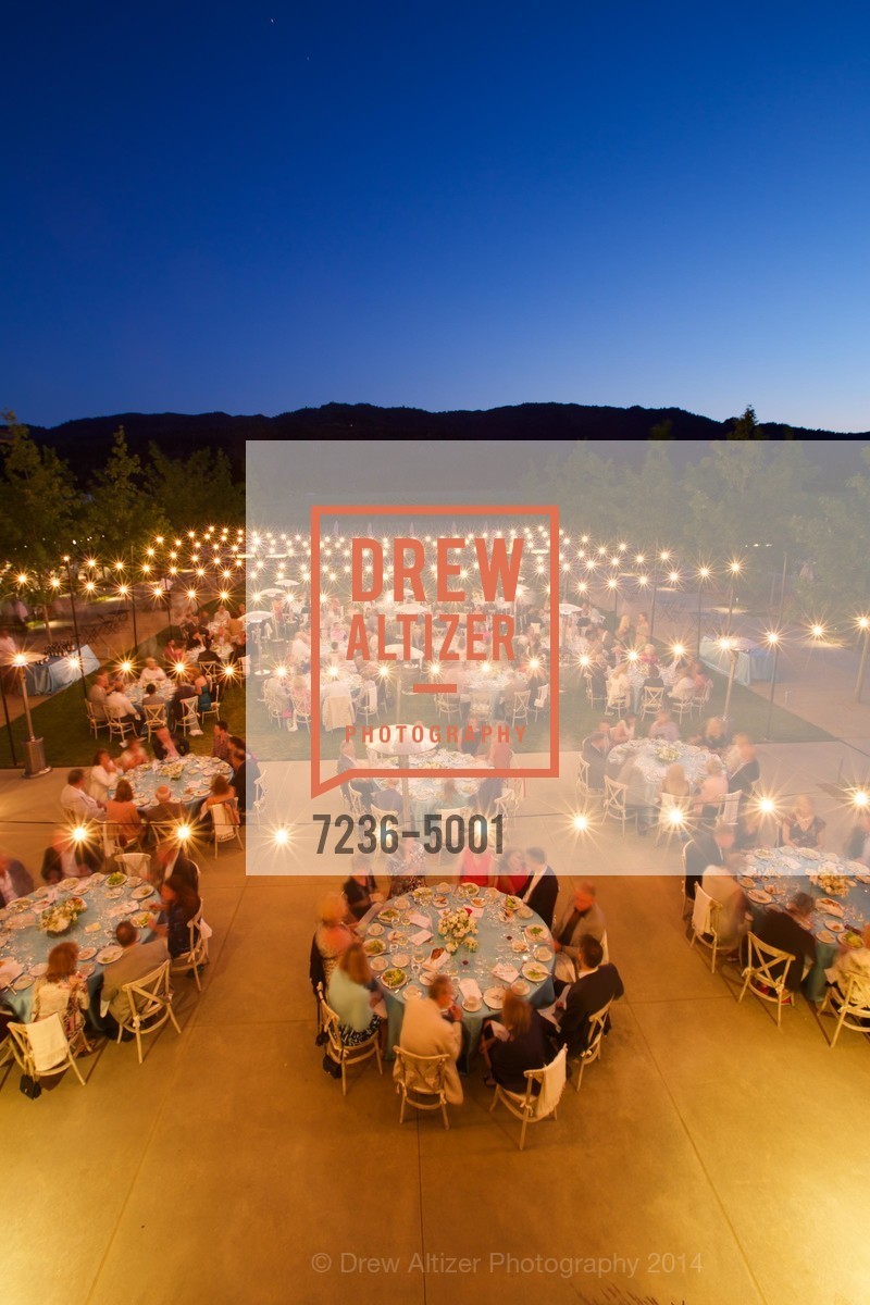 Atmosphere, FESTIVAL DEL SOLE Dinner at HALL ST. HELENA, US, July 18th, 2014, Photo #7236-5001 Atmosphere, Photo #7236-5001