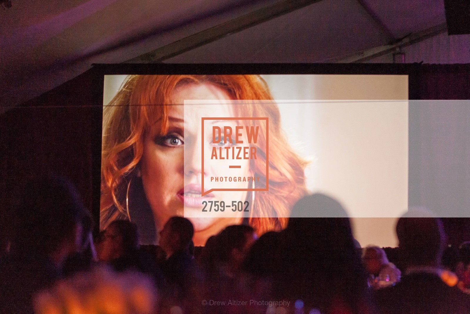 Atmosphere, 2014 RED CROSS Gala Honoring Paula Downey as the American Red Cross Bay Area Chapter Humanitarian CEO of the Year, US. Treasure Island (The Great Lawn), Photo #2759-502 Atmosphere, Photo #2759-502