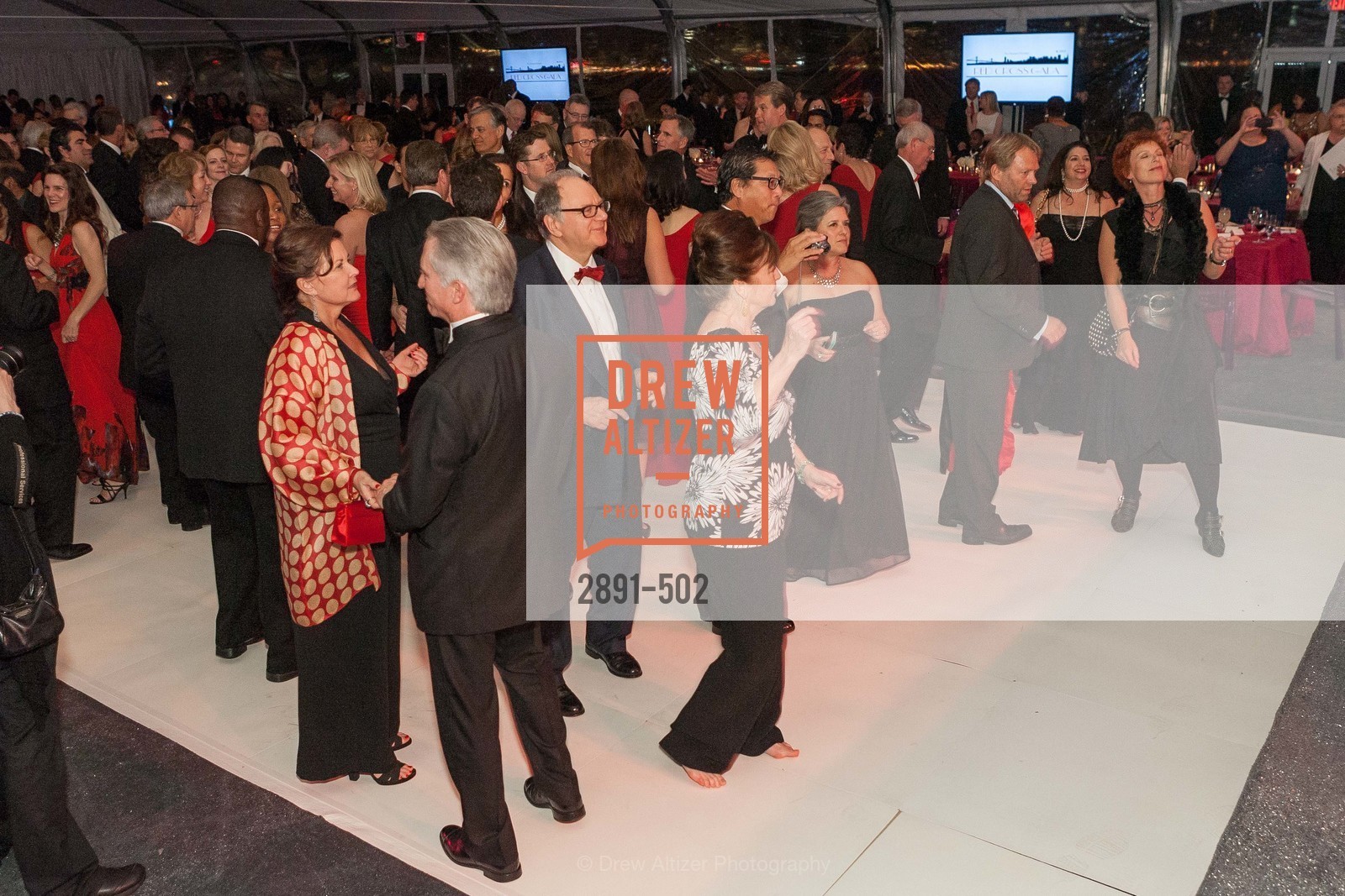 Dance Floor, 2014 RED CROSS Gala Honoring Paula Downey as the American Red Cross Bay Area Chapter Humanitarian CEO of the Year, US. Treasure Island (The Great Lawn), April 5th, 2014,Drew Altizer, Drew Altizer Photography, full-service agency, private events, San Francisco photographer, photographer california