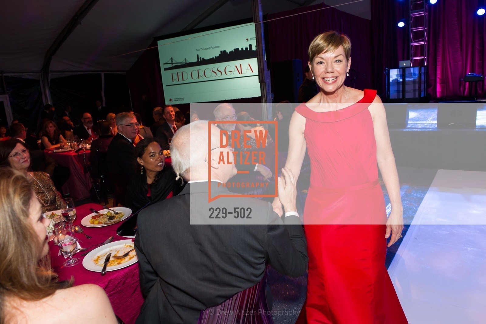 Paula Downey, 2014 RED CROSS Gala Honoring Paula Downey as the American Red Cross Bay Area Chapter Humanitarian CEO of the Year, US. Treasure Island (The Great Lawn), Photo #229-502 Paula Downey, Photo #229-502