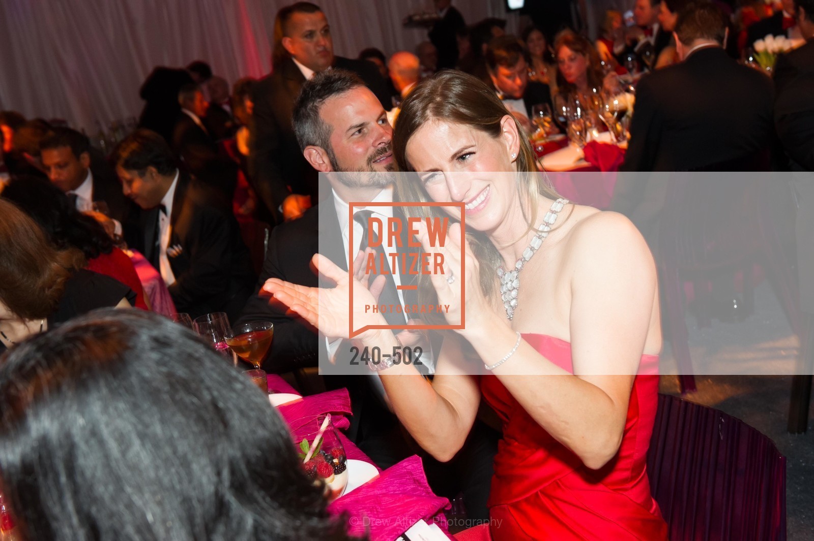 Kelly Murphy, 2014 RED CROSS Gala Honoring Paula Downey as the American Red Cross Bay Area Chapter Humanitarian CEO of the Year, US. Treasure Island (The Great Lawn), April 5th, 2014,Drew Altizer, Drew Altizer Photography, full-service agency, private events, San Francisco photographer, photographer california