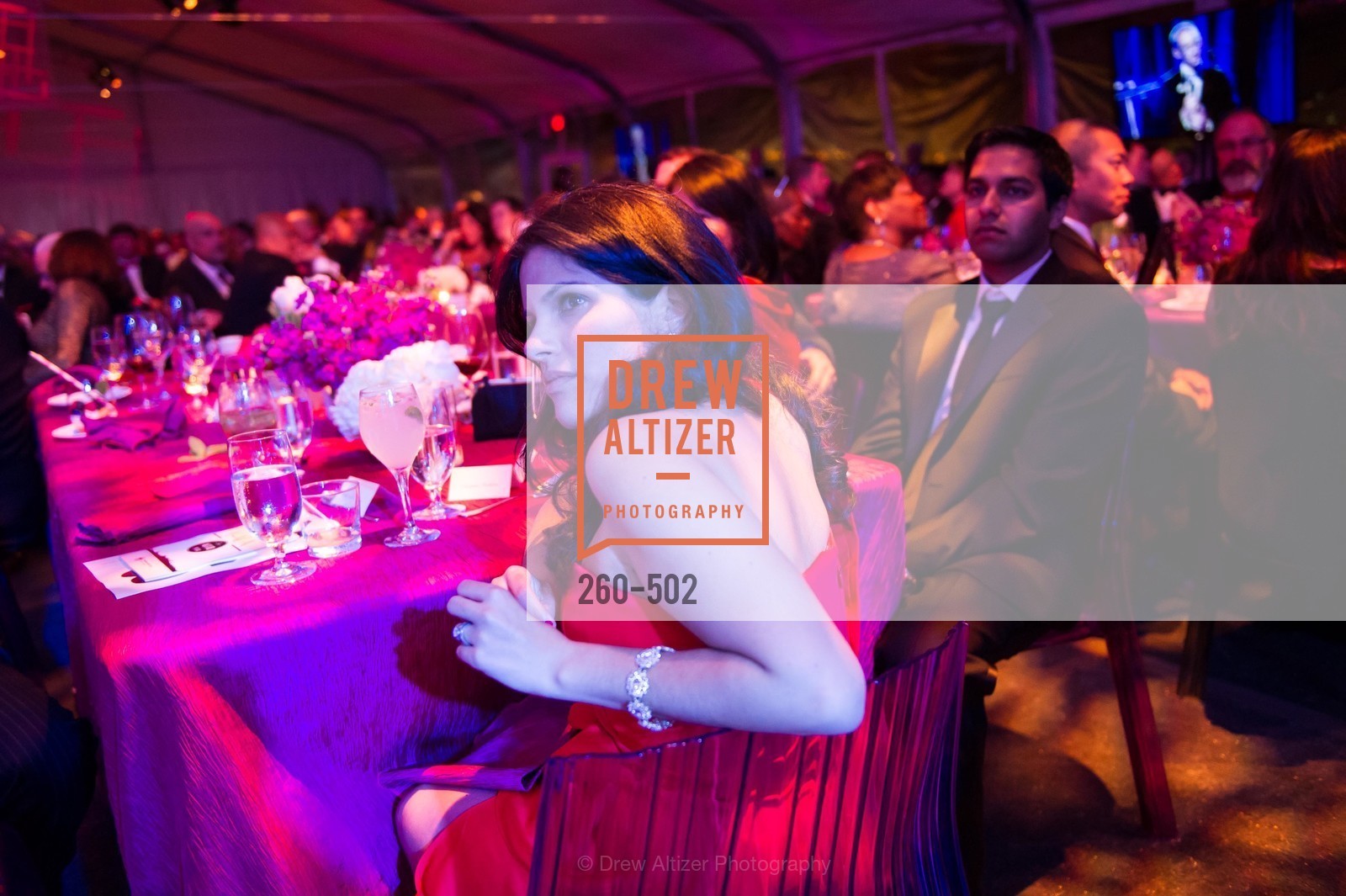 Extras, 2014 RED CROSS Gala Honoring Paula Downey as the American Red Cross Bay Area Chapter Humanitarian CEO of the Year, April 5th, 2014, Photo,Drew Altizer, Drew Altizer Photography, full-service event agency, private events, San Francisco photographer, photographer California