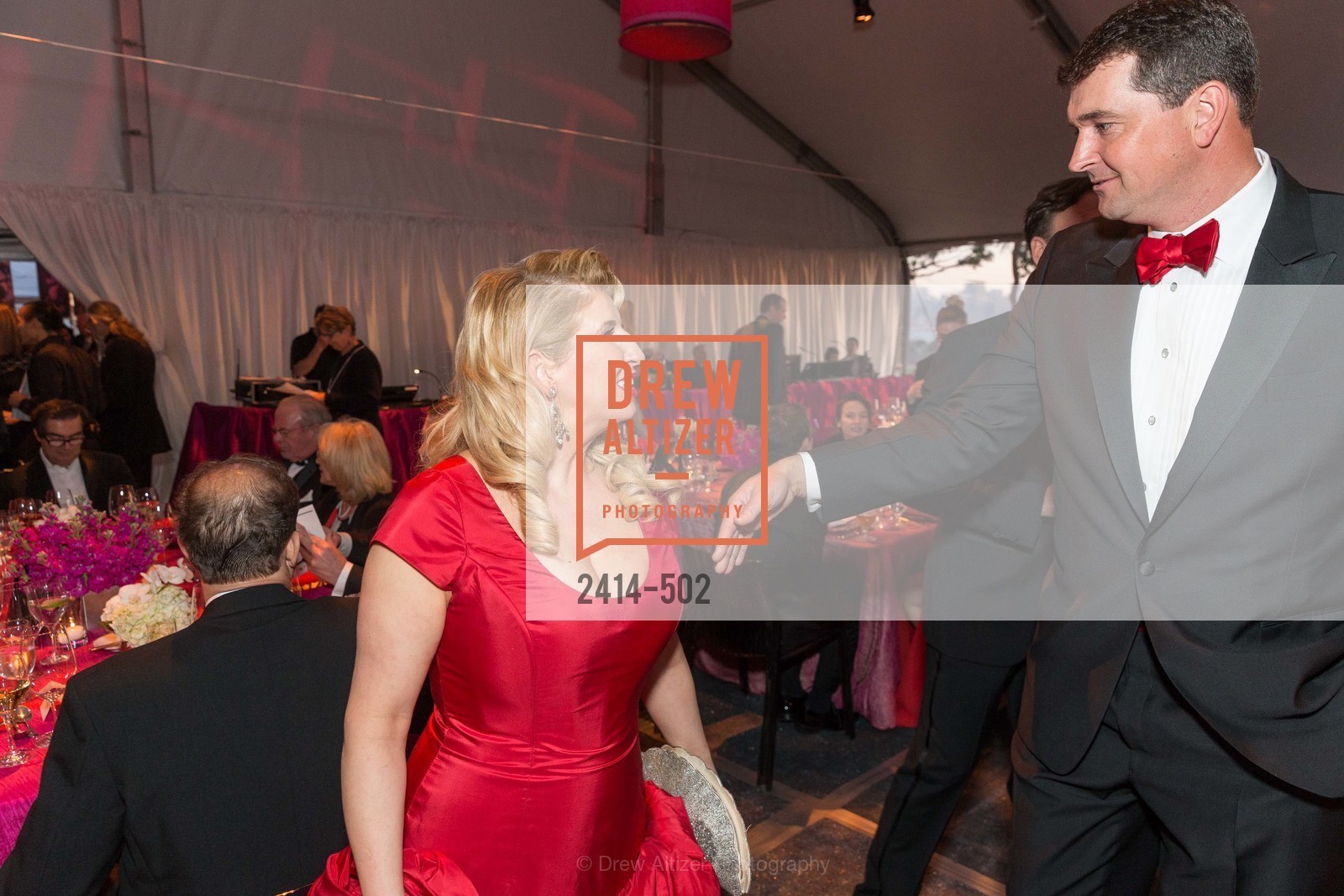Roberta Economidis, Ted Murphy, 2014 RED CROSS Gala Honoring Paula Downey as the American Red Cross Bay Area Chapter Humanitarian CEO of the Year, US. Treasure Island (The Great Lawn), April 5th, 2014,Drew Altizer, Drew Altizer Photography, full-service agency, private events, San Francisco photographer, photographer california