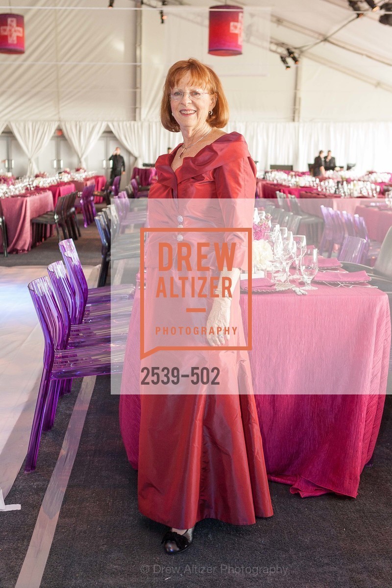 Mary Cranston, 2014 RED CROSS Gala Honoring Paula Downey as the American Red Cross Bay Area Chapter Humanitarian CEO of the Year, US. Treasure Island (The Great Lawn), April 5th, 2014,Drew Altizer, Drew Altizer Photography, full-service event agency, private events, San Francisco photographer, photographer California