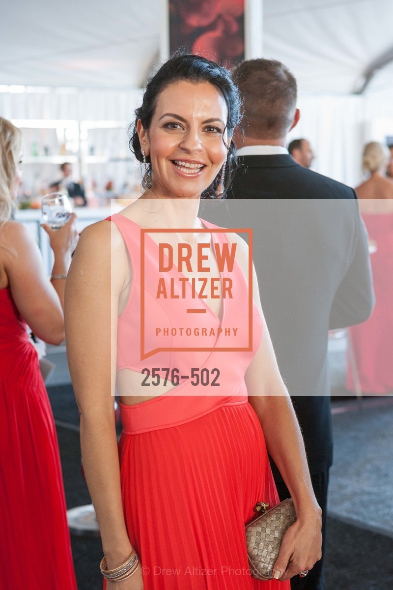 Dilara Saatci-Guay, 2014 RED CROSS Gala Honoring Paula Downey as the American Red Cross Bay Area Chapter Humanitarian CEO of the Year, US. Treasure Island (The Great Lawn), April 5th, 2014,Drew Altizer, Drew Altizer Photography, full-service agency, private events, San Francisco photographer, photographer california