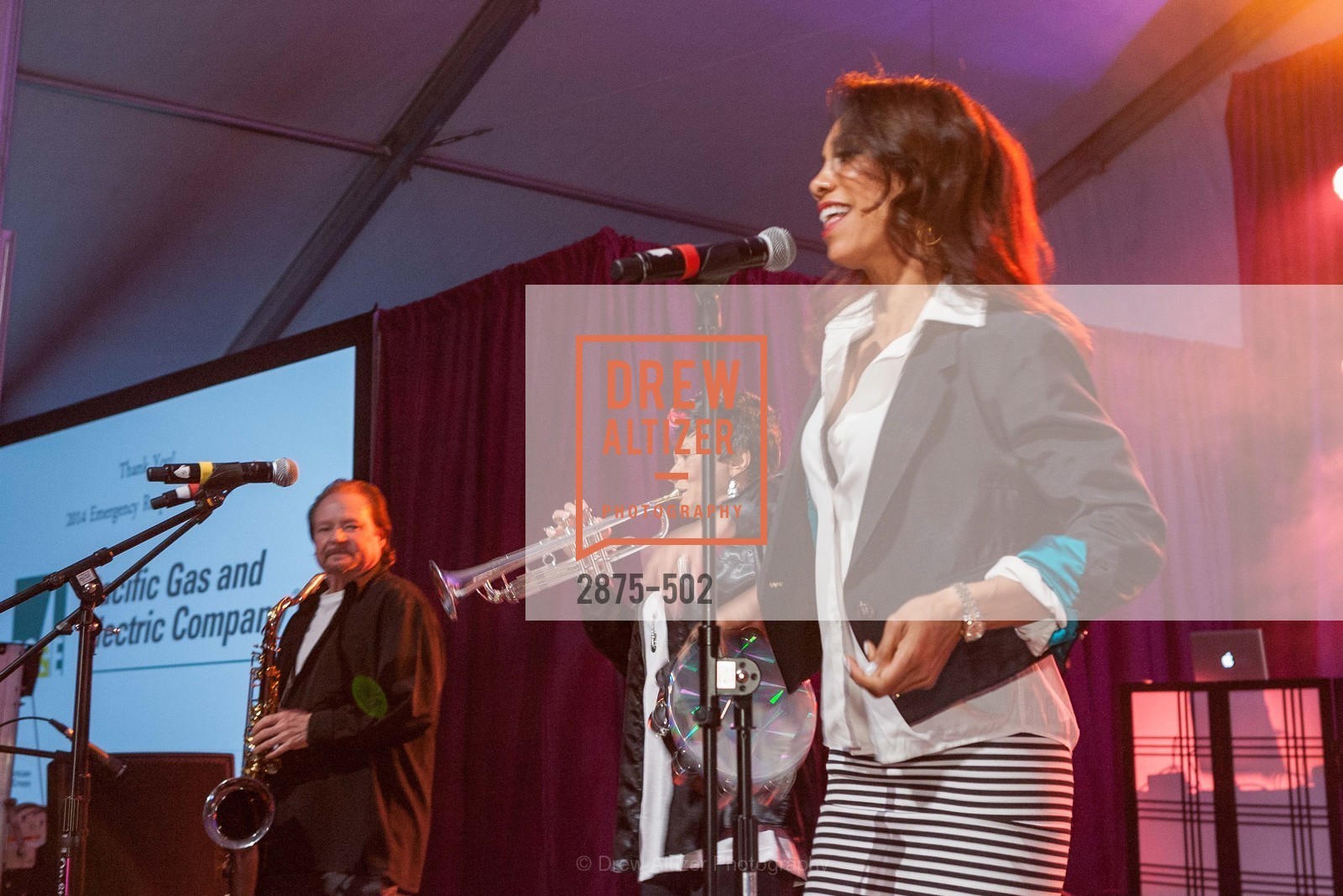 Performers, 2014 RED CROSS Gala Honoring Paula Downey as the American Red Cross Bay Area Chapter Humanitarian CEO of the Year, US. Treasure Island (The Great Lawn), April 5th, 2014,Drew Altizer, Drew Altizer Photography, full-service agency, private events, San Francisco photographer, photographer california