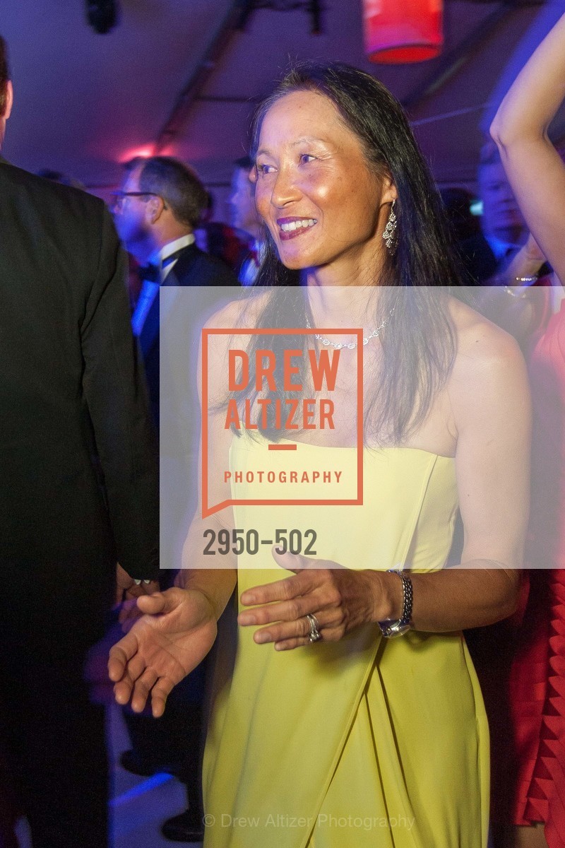 Extras, 2014 RED CROSS Gala Honoring Paula Downey as the American Red Cross Bay Area Chapter Humanitarian CEO of the Year, April 5th, 2014, Photo,Drew Altizer, Drew Altizer Photography, full-service agency, private events, San Francisco photographer, photographer california