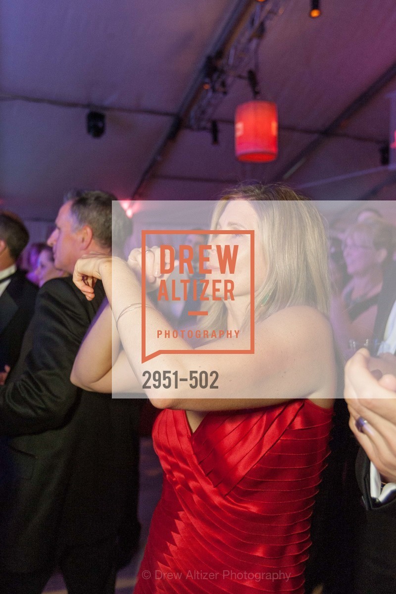 Extras, 2014 RED CROSS Gala Honoring Paula Downey as the American Red Cross Bay Area Chapter Humanitarian CEO of the Year, April 5th, 2014, Photo,Drew Altizer, Drew Altizer Photography, full-service agency, private events, San Francisco photographer, photographer california