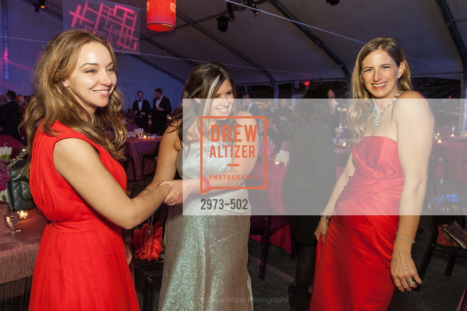 Julia Vasquez. Ashey de Smeth, Kelly Murphy, 2014 RED CROSS Gala Honoring Paula Downey as the American Red Cross Bay Area Chapter Humanitarian CEO of the Year, US. Treasure Island (The Great Lawn), April 5th, 2014,Drew Altizer, Drew Altizer Photography, full-service agency, private events, San Francisco photographer, photographer california