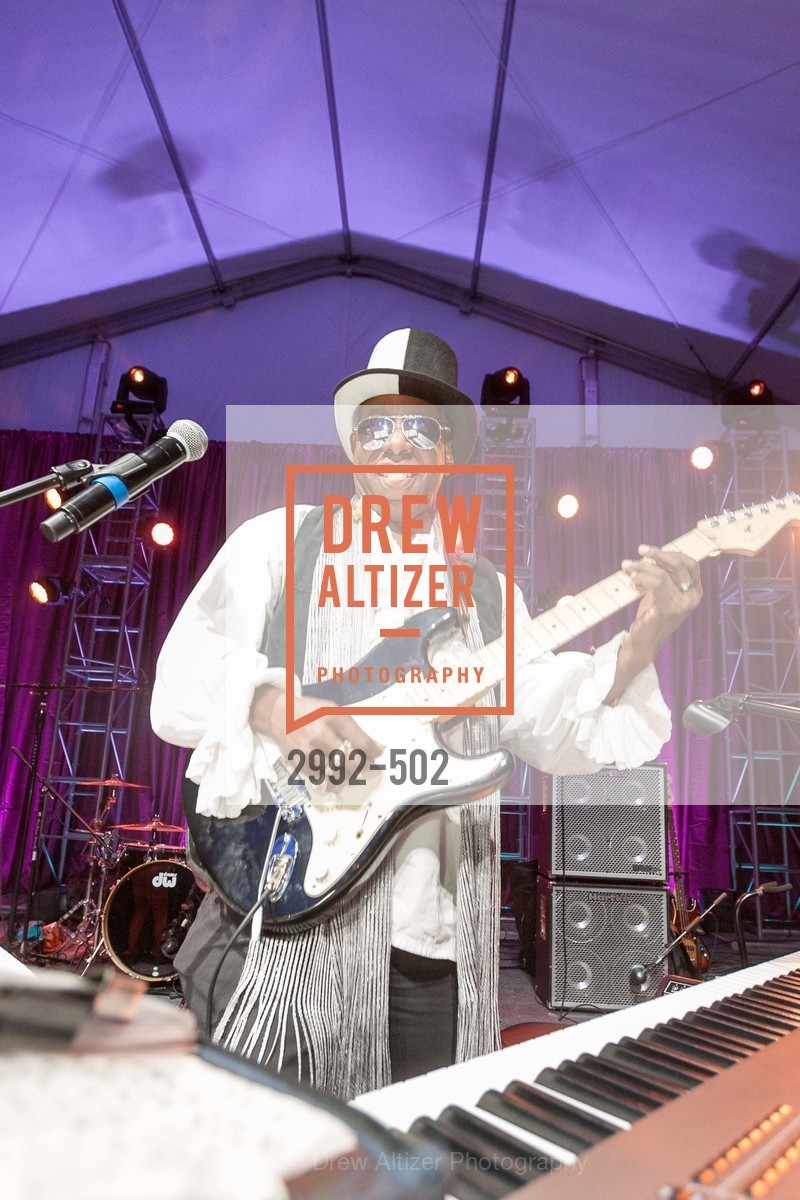 Performer, 2014 RED CROSS Gala Honoring Paula Downey as the American Red Cross Bay Area Chapter Humanitarian CEO of the Year, US. Treasure Island (The Great Lawn), Photo #2992-502 Performer, Photo #2992-502