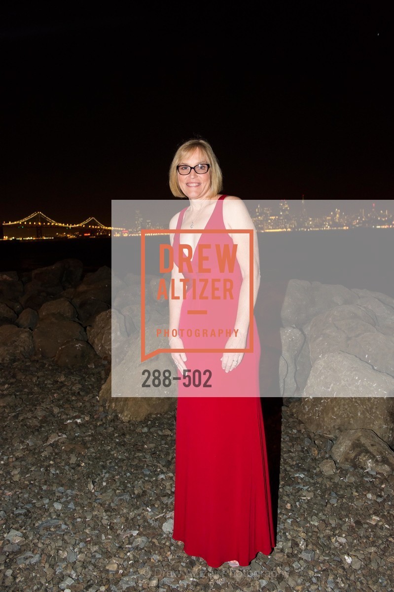 Kathy Harwell, 2014 RED CROSS Gala Honoring Paula Downey as the American Red Cross Bay Area Chapter Humanitarian CEO of the Year, US. Treasure Island (The Great Lawn), April 5th, 2014,Drew Altizer, Drew Altizer Photography, full-service agency, private events, San Francisco photographer, photographer california